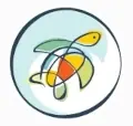 maintenance du site web ASL Taapuna