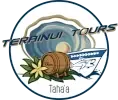 création du site web Terainui Tours Taha'a